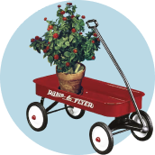 garden icon