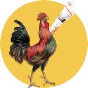 flyer icon