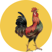 flyer icon